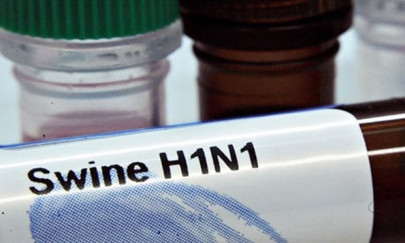 public health two swine flu deaths feared in multan