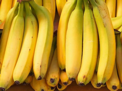 pakistan contributes 0 5 to banana market pakistan contributes 0 5 to banana market