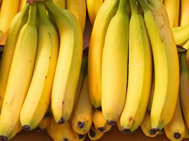 pakistan contributes 0 5 to banana market pakistan contributes 0 5 to banana market