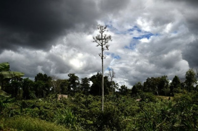 american tourist gang raped on papua new guinea jungle trek