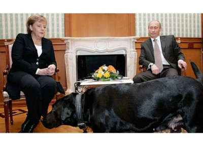 didn t mean to scare angela merkel with my dog putin didn t mean to scare angela merkel with my dog putin