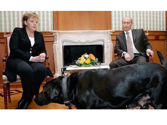 angela merkel watches uneasily as russian president vladimir putin 039 s dog approaches in 2007 photo afp