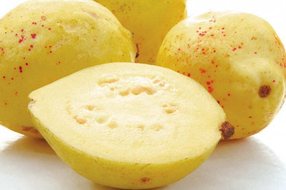 season s delight 8 incredible benefits of the humble amrood season s delight 8 incredible benefits of the humble amrood