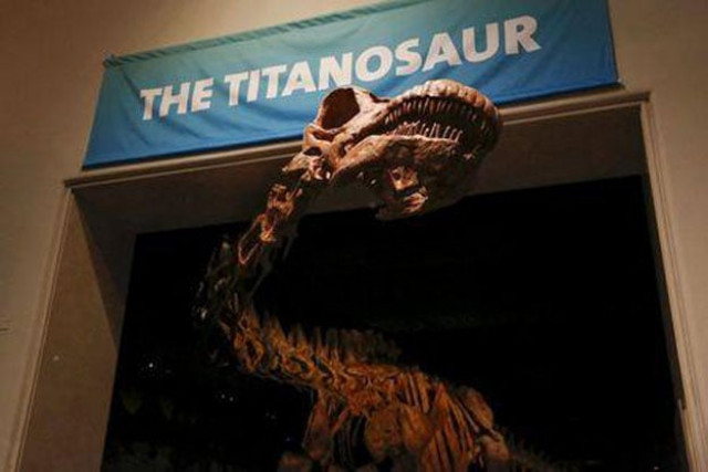 the skeleton cast of a titanosaur is seen during a media preview at the american museum of natural history in new york january 14 2016 photo reuters the skeleton cast of a titanosaur is seen during a media preview at the american museum of natural history in new york january 14 2016 photo reuters