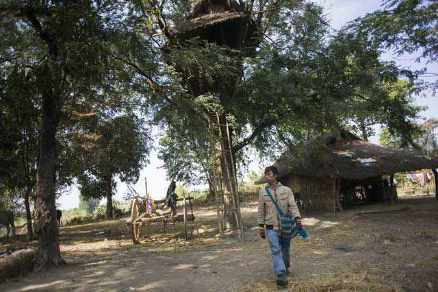 correction this photo is taken on january 14 2016 shows a man walking past a tree house in taik kyi village on the outskirts of yangon the elephants are searching for foods in the places where people live and it is a village of thikegyi a township located northwest of the city of yangon in myanmar photo afp