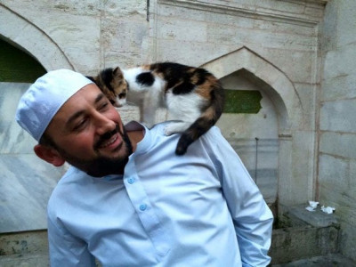 turkish imam opens up mosque for stray cats turkish imam opens up mosque for stray cats
