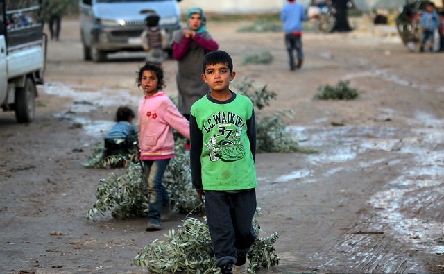 internally displaced children pull branches used for heating inside a refugee camp in salkeen northern idlib countryside syria january 17 2016 photo reuters