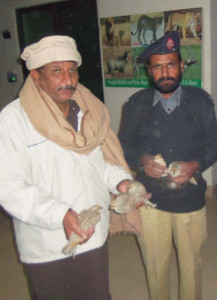 protecting wildlife rare partridges seized from balochistan punjab border protecting wildlife rare partridges seized from balochistan punjab border
