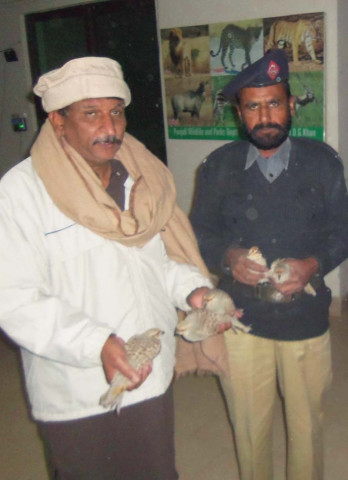 officials holding the partridges photo express officials holding the partridges photo express