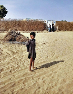 sindh spends only 1 of health budget on nutrition sindh spends only 1 of health budget on nutrition