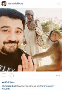 the screenshot the screenshot