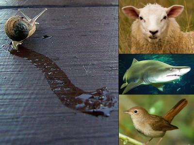 5 gross makeup ingredients that are actually good for your skin