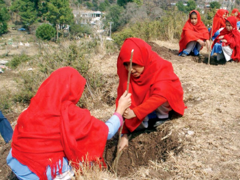 schoolgirls plant saplings at sangara in haripur photo inp