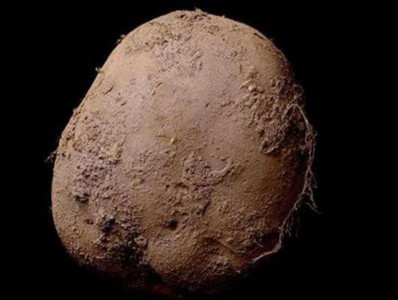 man buys photograph of organic potato for 1 million