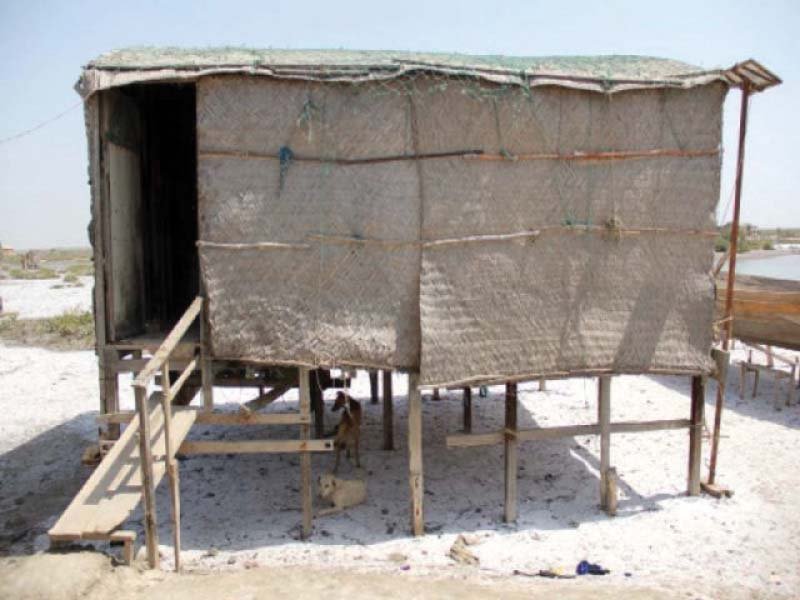 world wide fund pakistan is building elevated platforms at indus delta to provide residents safety against cyclones which have become frequent due to climate change photo express