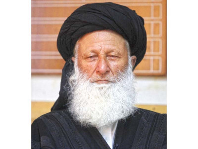 conformity with sharia sherani says cii willing to review blasphemy law