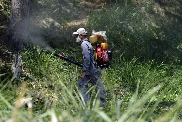 a health ministry employee fumigates against aedes aegypti mosquito at a home in caracas on january 28 2016 venezuela has recorded 4 700 suspected cases of people infected by the zika virus which is thought to cause brain damage in babies the health ministry said on thursday photo afp a health ministry employee fumigates against aedes aegypti mosquito at a home in caracas on january 28 2016 venezuela has recorded 4 700 suspected cases of people infected by the zika virus which is thought to cause brain damage in babies the health ministry said on thursday photo afp