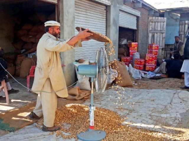 a vendor threshes peanuts on mingora bypass road near boni photo express a vendor threshes peanuts on mingora bypass road near boni photo express