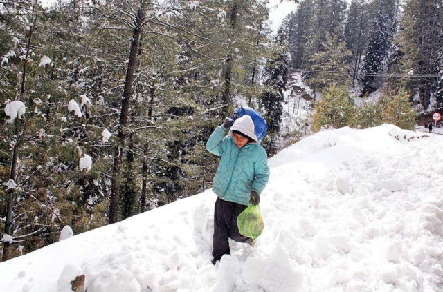 a boy walks in the snow on murree road in nathiagali photo online file