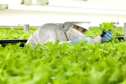 world s first robot run farm to open in japan