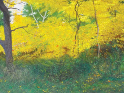 exploring landscapes a walk in the park solo show by michelle farooqi exploring landscapes a walk in the park solo show by michelle farooqi