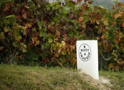 italy busts fake champagne makers with thousands of moet bottles italy busts fake champagne makers with thousands of moet bottles