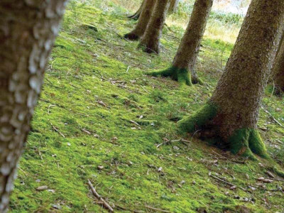 green business over 1 500 being trained in five value chains