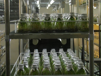 bio risk management kmu dsp ink rs4 98m deal