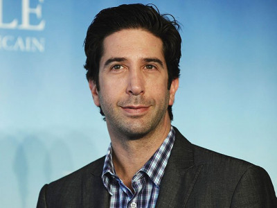 getting fame was painful david schwimmer
