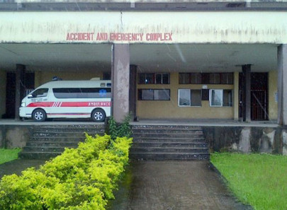 101 die in nigeria from lassa fever outbreak 101 die in nigeria from lassa fever outbreak
