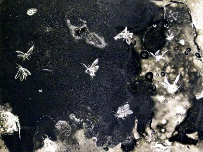 solo show exploring connections with nature solo show exploring connections with nature