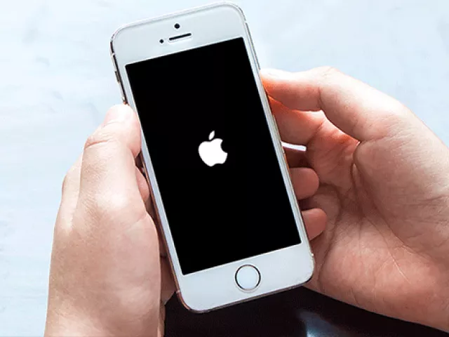 photo apple photo apple