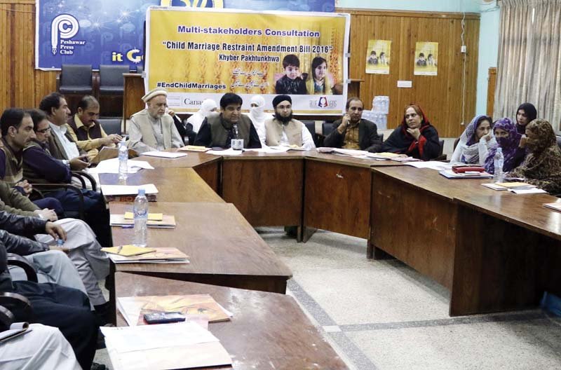 participants attend a seminar at peshawar press club photo ppi