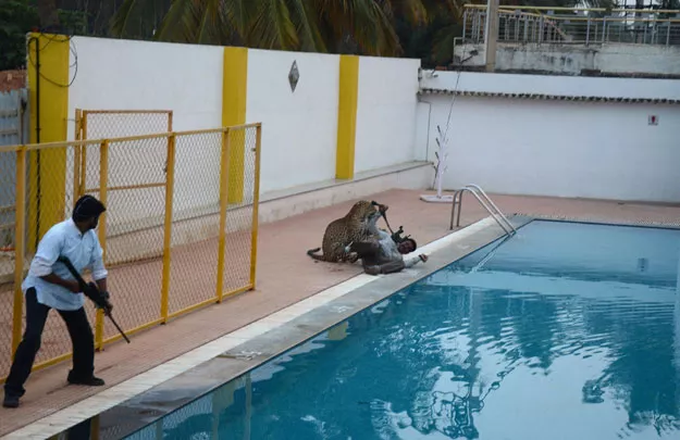 a file picture taken on february 7 2016 shows an indian man l with a tranquilizer gun watching as a leopard attacks a man identified by indian media as wildlife conservationist sanjay gubbi r at a private school on the outskirts of bangalore photo afp a file picture taken on february 7 2016 shows an indian man l with a tranquilizer gun watching as a leopard attacks a man identified by indian media as wildlife conservationist sanjay gubbi r at a private school on the outskirts of bangalore photo afp