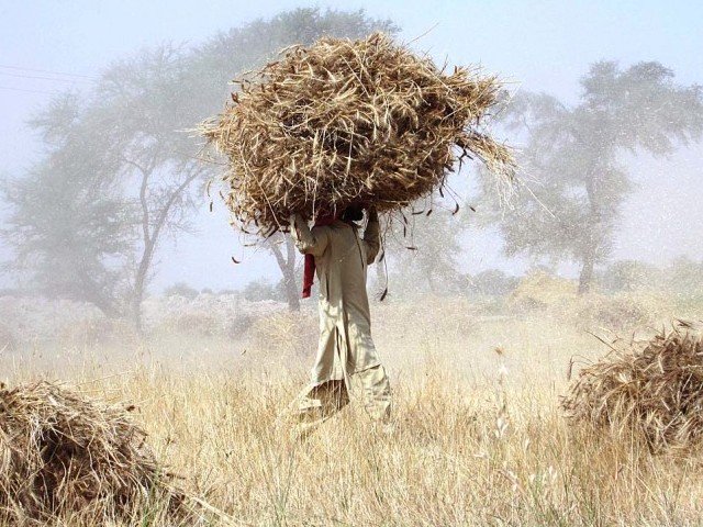 agriculture minister reassures house about govt action on farmers concerns photo app