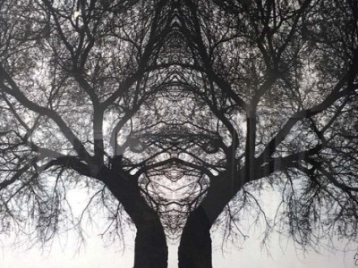 national women s day diverse artwork highlights struggle