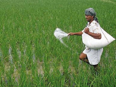 fertiliser companies resist urea import