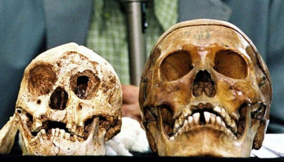 mystery hobbits not humans like us study mystery hobbits not humans like us study