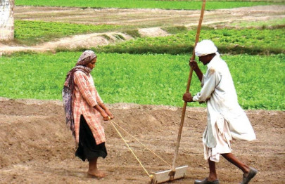 kisan package all talk little implementation