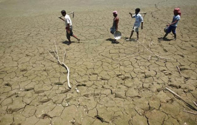 weather weary indian farmers resort to new cash crop blood weather weary indian farmers resort to new cash crop blood