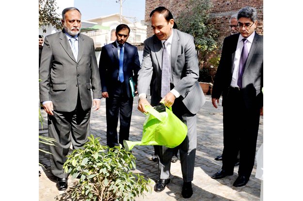 chairman nab planting a tree during his visit to nab multan regional bureau photo nni