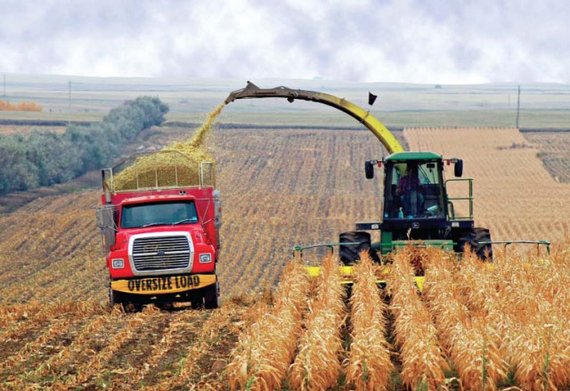 the package was announced supposedly to support low income farmers bear the wrath of falling commodity prices photo file the package was announced supposedly to support low income farmers bear the wrath of falling commodity prices photo file