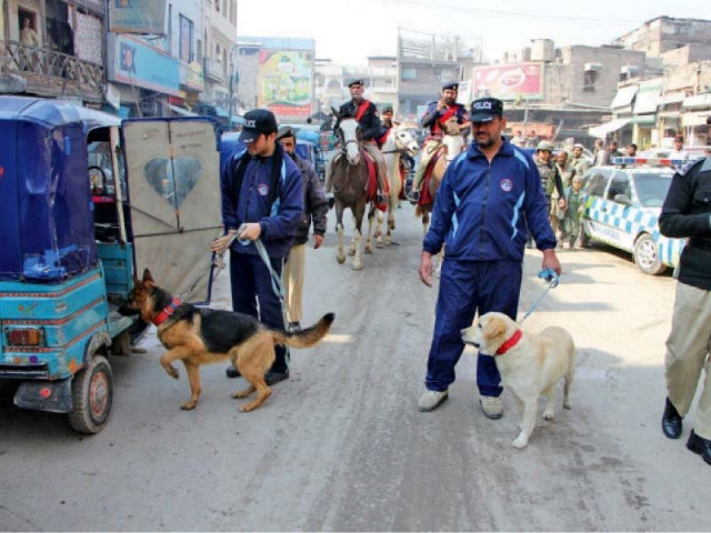 sniffer dogs help ensure security in the city photo express