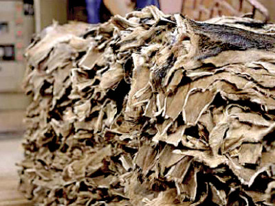 leather sector experts conduct study tour of india leather sector experts conduct study tour of india