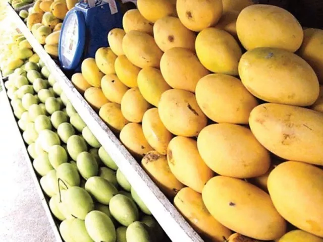 businessmen asked to explore market particularly of food products photo file businessmen asked to explore market particularly of food products photo file