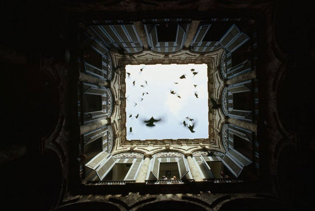 a flock of birds seen through an enclosed courtyard in old havana december 1987 source james l stanfield