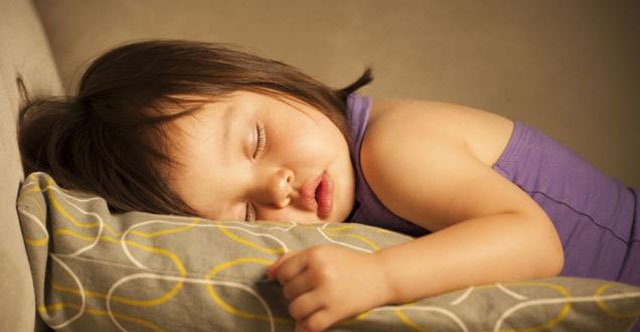 sleep replay strengthens the microscopic connections between nerve cells that are active photo siasat