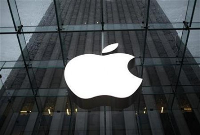 apple says expert panel should take up encryption issue