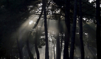 mysterious high pitched tone keeps oregon residents up at night mysterious high pitched tone keeps oregon residents up at night