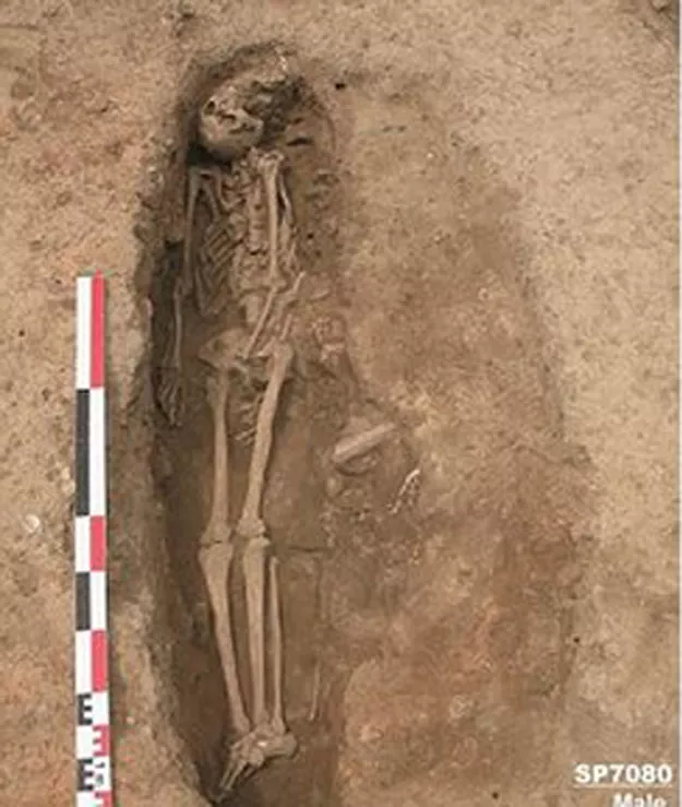 photo yves gieize et al plos one via daily mail photo yves gieize et al plos one via daily mail